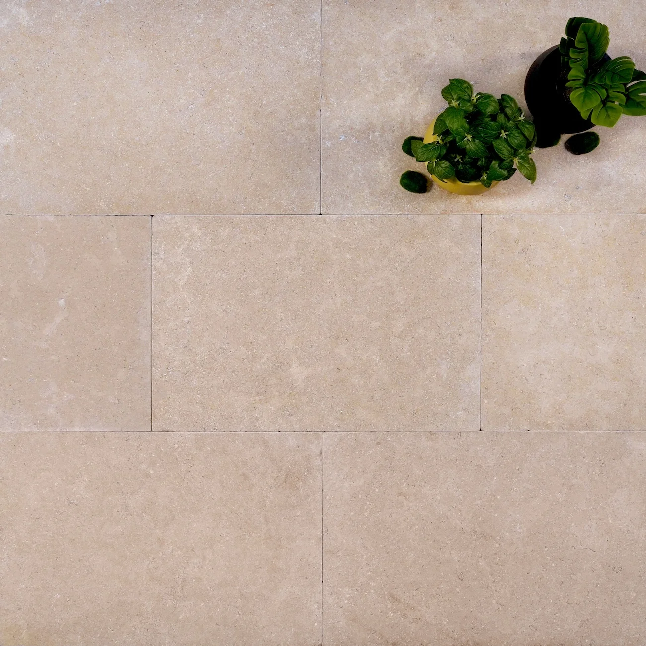 Avani Limestone Tiles, Pavers & Pool Copings