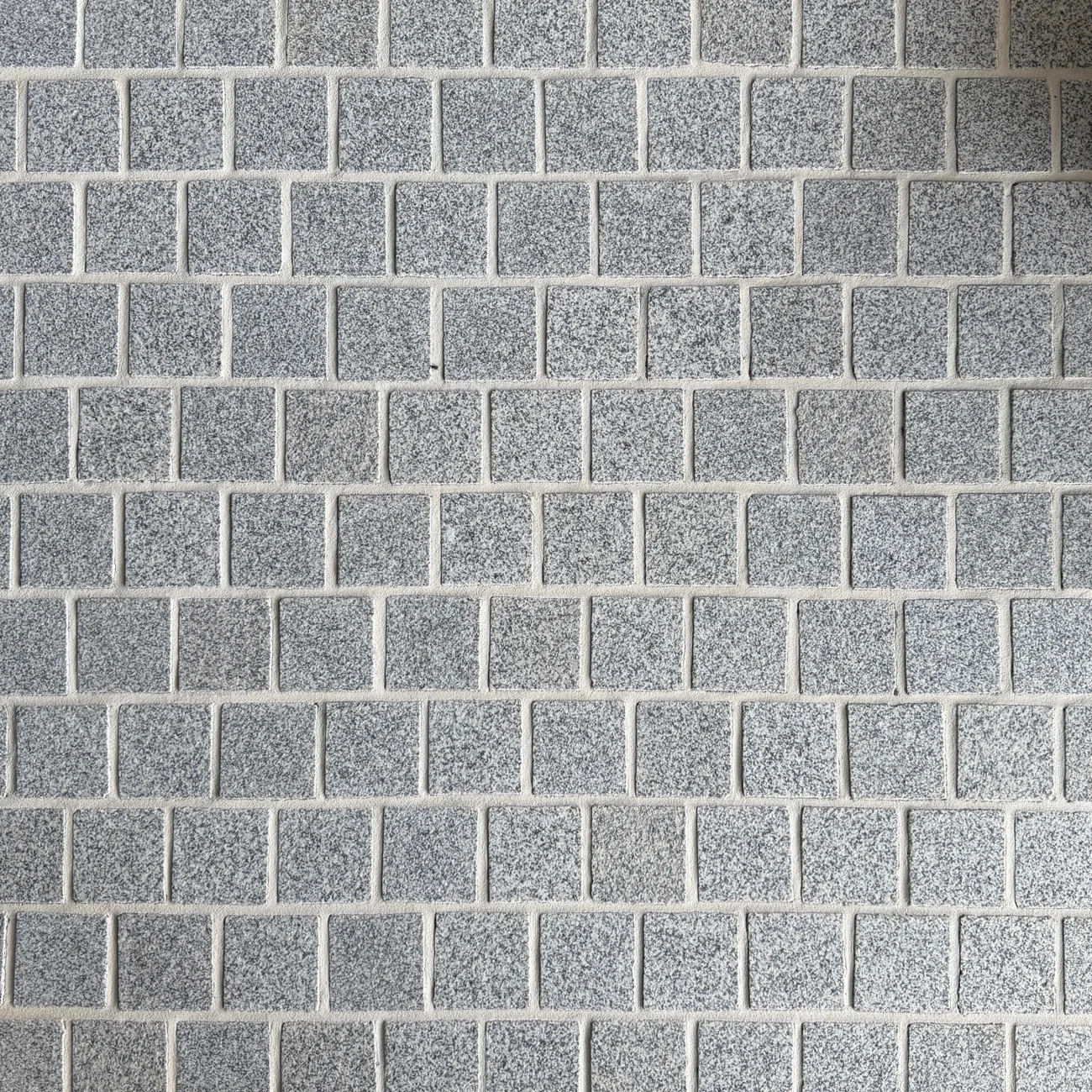 Silver Grey Granite Mesh Back Cobblestone