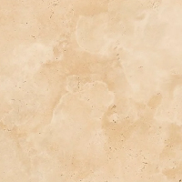 Ivory Premium