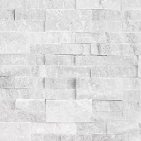 Arctic White