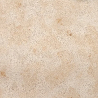 Zoya
