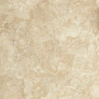 Ivory Premium