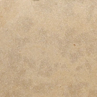 Calcetta