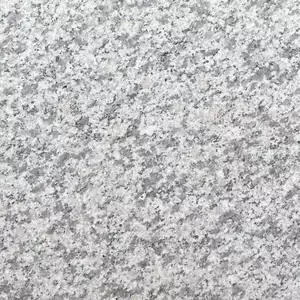 Silver Grey Granite Tiles, Pavers & Copings